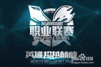 了无可替代