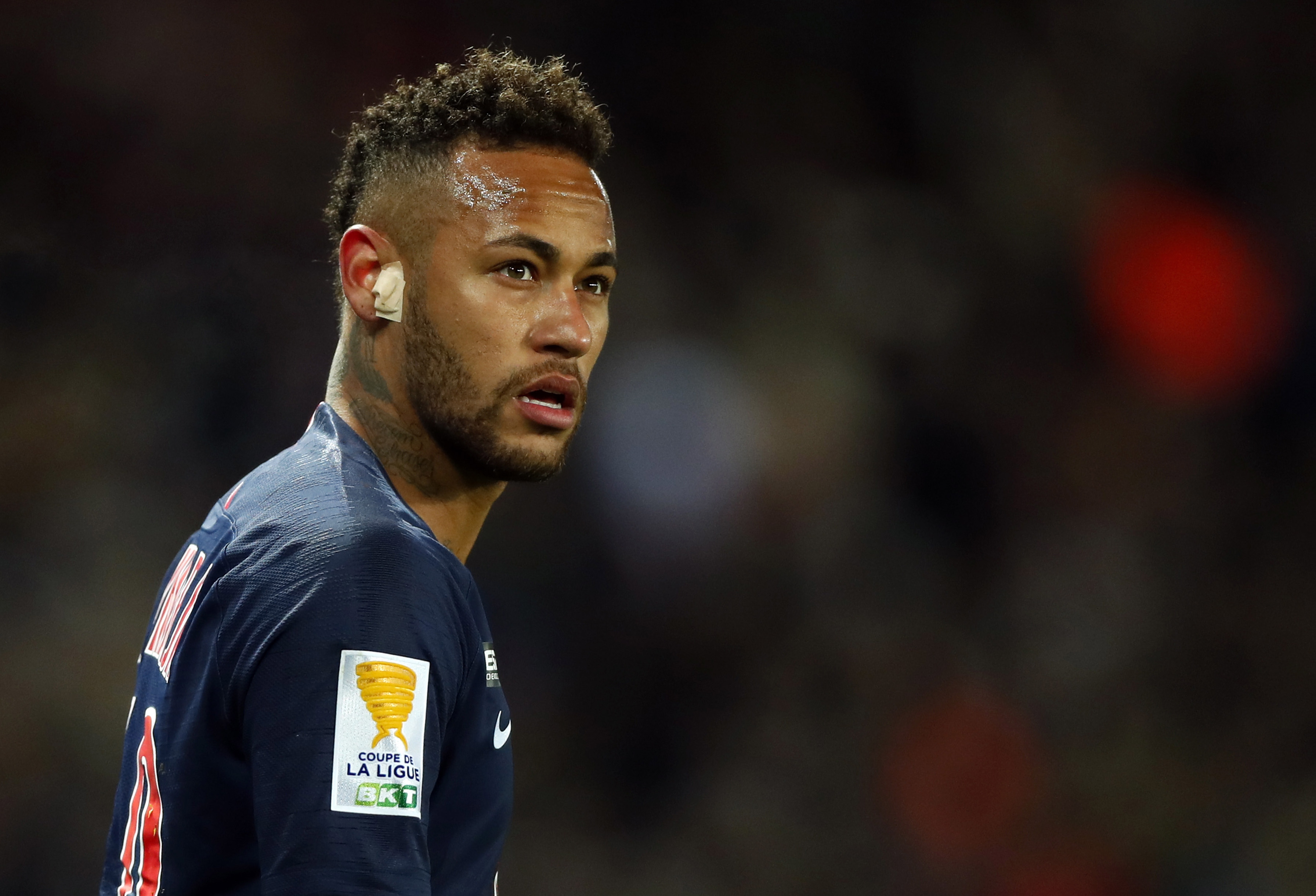 入了强劲动 入了强劲动