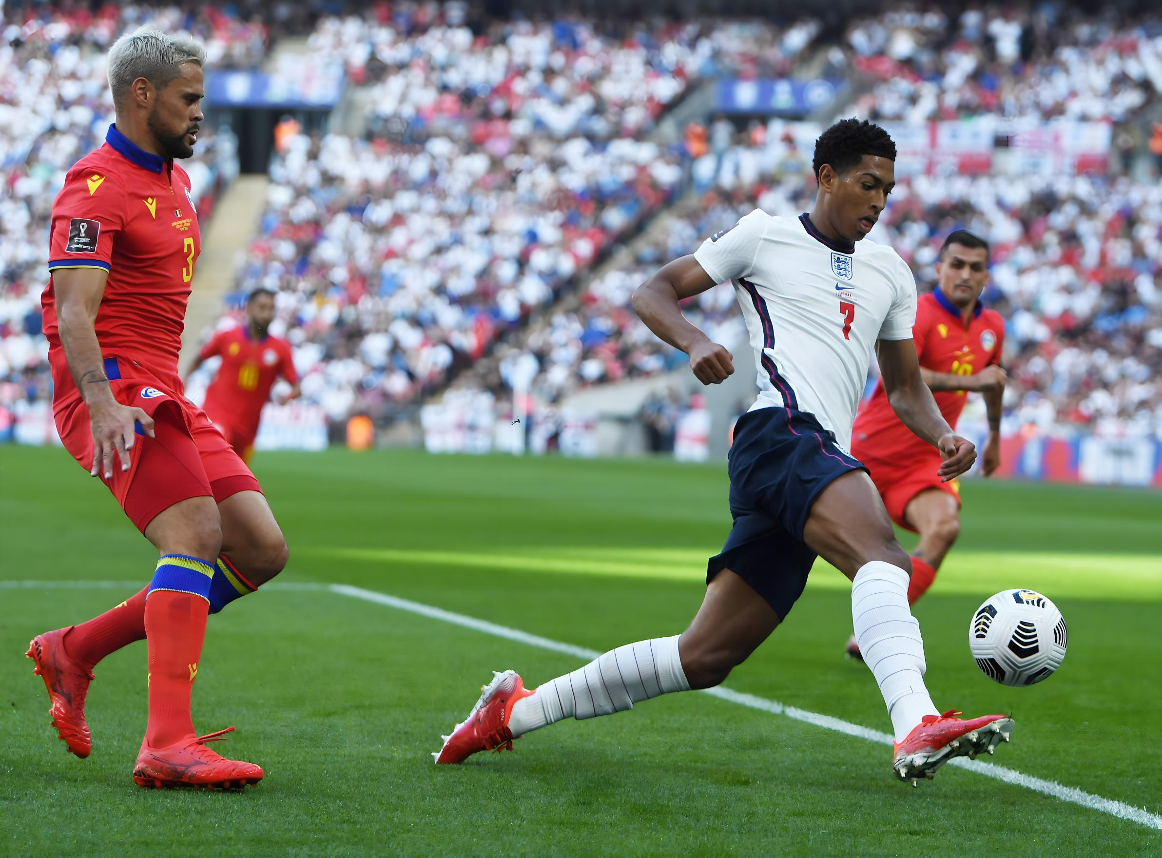 评分很高的 评分很高的